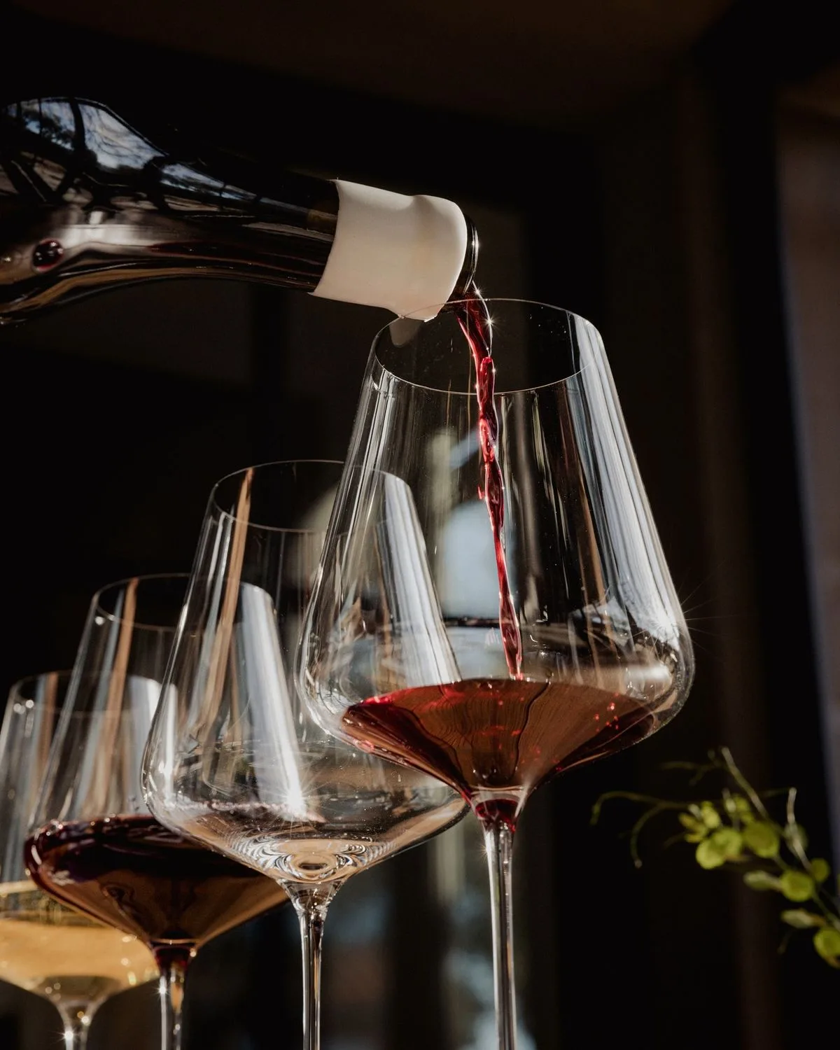 House wine
